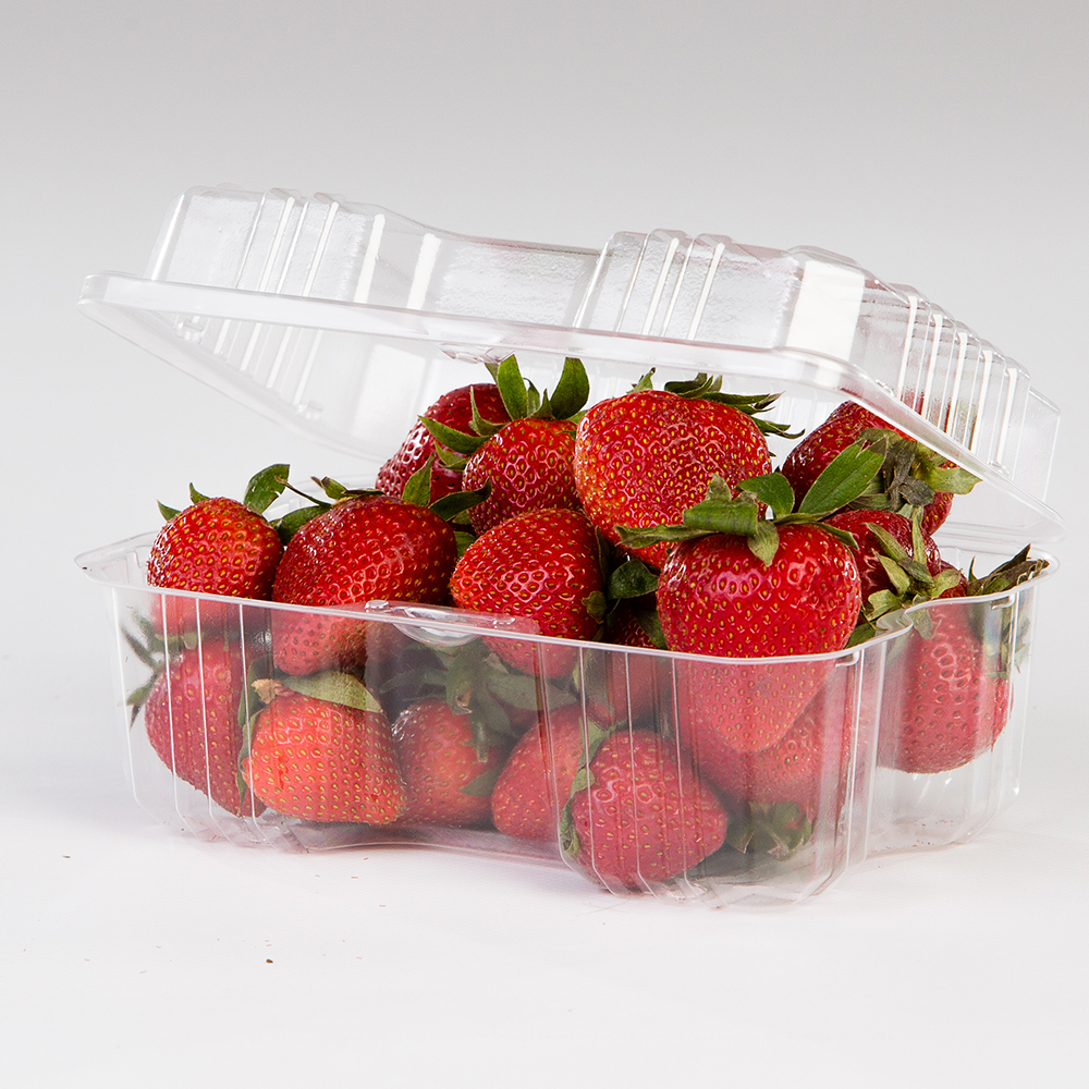 HINGED QUART BERRY CONTAINER
VENTED   300/CASE  LBH-491