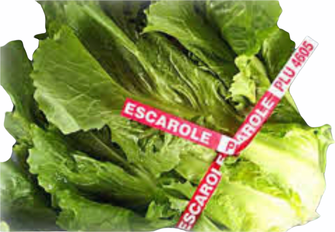 ESCAROLE TWIST TIE 18&quot; 4 X 250 1000